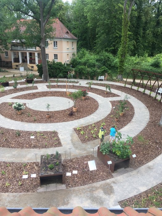 Der Garten ist im Auftrag des Klosterstiftes angelegt worden und zeigt etwa siebzig Pflanzenarten aus Tanach, Bibel und Koran. Foto: Horst Borgmann