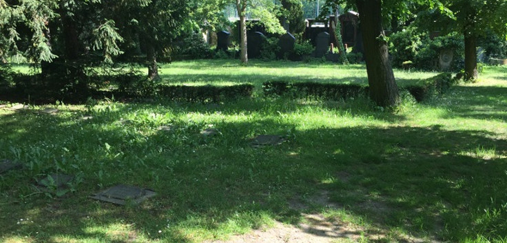 Auf dem Bild ist ein grüne Wiese, Bäume un dein paar Grabplatten zu sehen. Das Foto zeigt einen Teil eines Friedhofs in Berlin. 