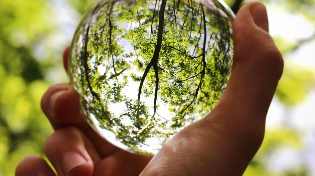 Man erkennt einen Ausschnitt aus der Broschüre „EU-Fördermittel für evangelische Projekte ... im Klima- & Umweltschutz“: Eine Hand, die eine Glaskugel hält, in der sich ein Baum spiegelt.
