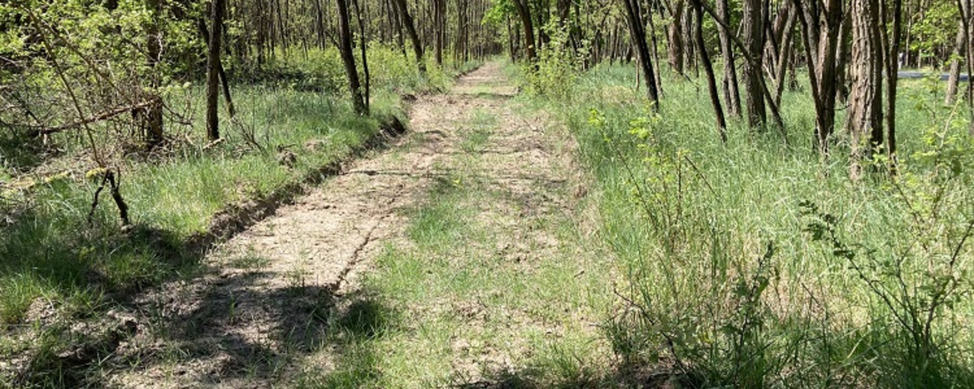Auf dem Bild sieht man links die geschützte Aufforstung, die mit ELER-Mitteln der Europäischen Union gefördert wurde. Der Wald wird von der Kirchlichen Waldgemeinschaft Mittelbrandenburg bewirtschaftet.