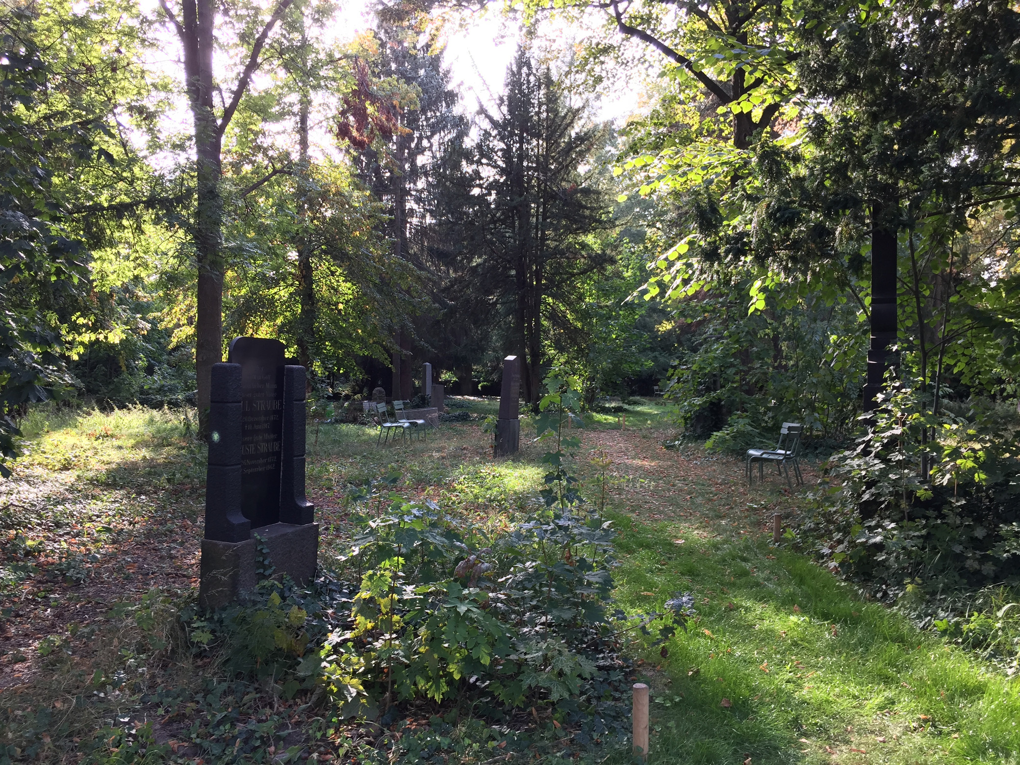Alter Luisenstädtischer Friedhof Rasenwege